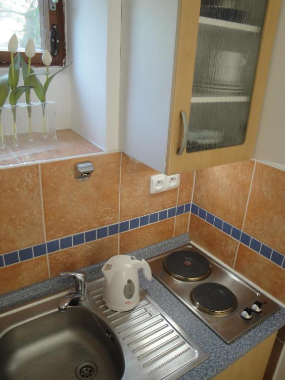 Pension Apartment Granit 프라하 객실 사진